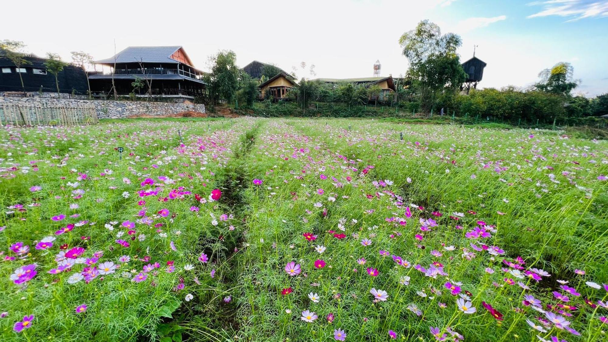 Satoyama Village Luong Son  Eksteriør billede