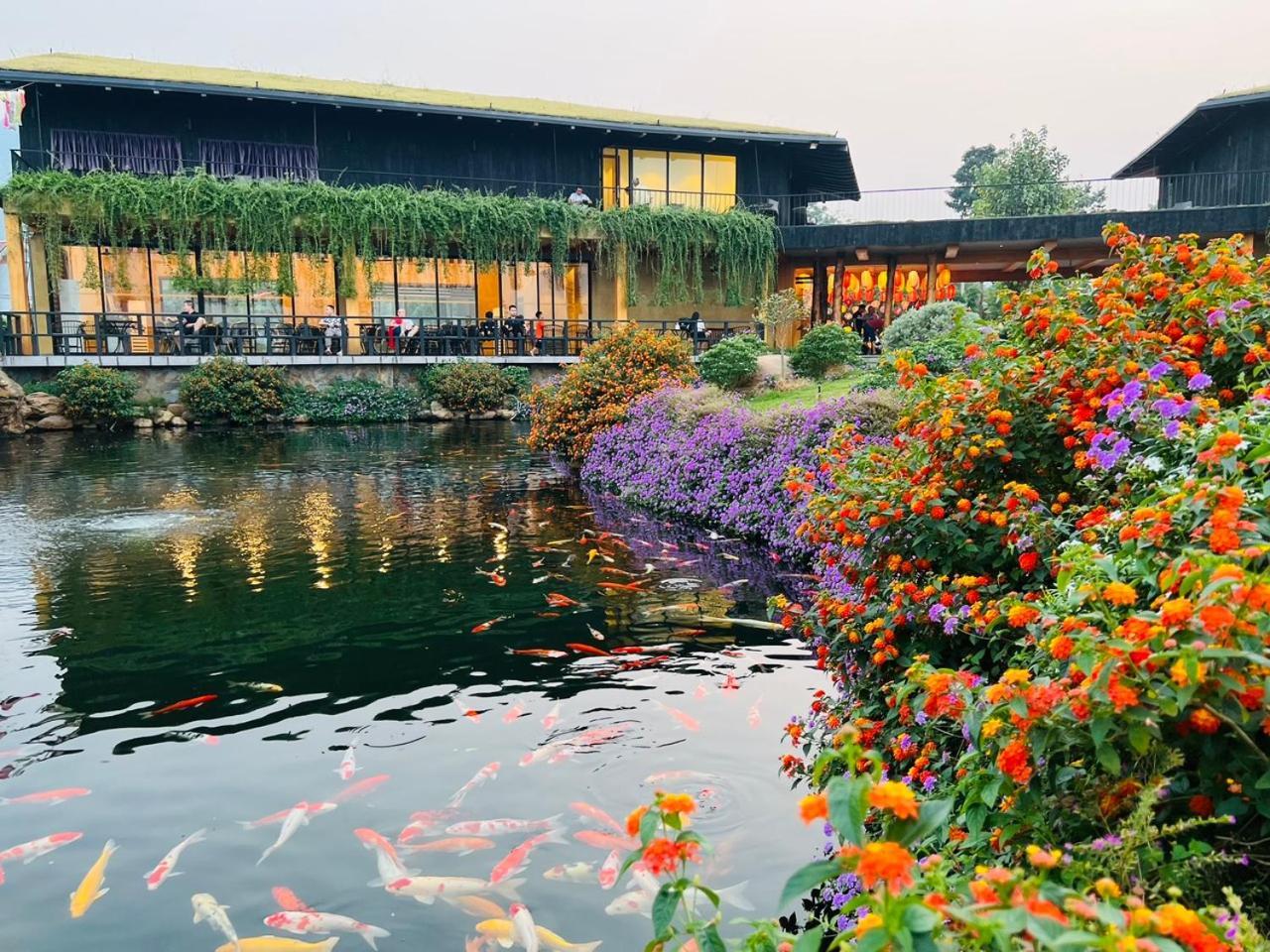Satoyama Village Luong Son  Eksteriør billede